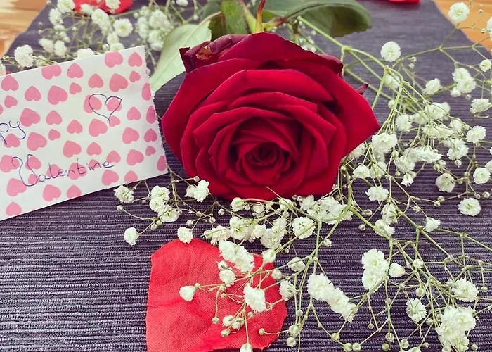 Bed & Breakfast Houseboat